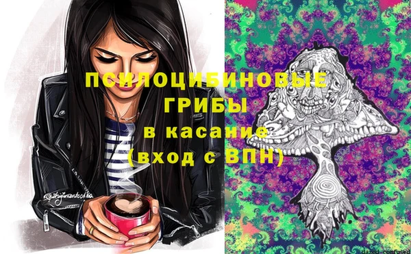 альфа пвп Заволжск